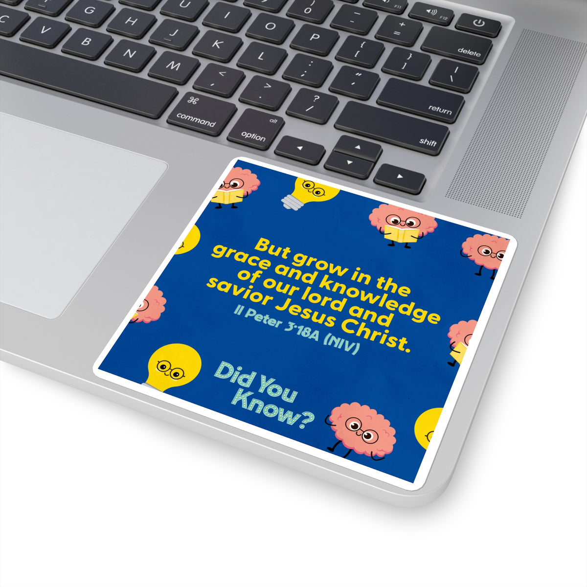 Memory Verse Sticker | V5 | Did You Know? Preschool