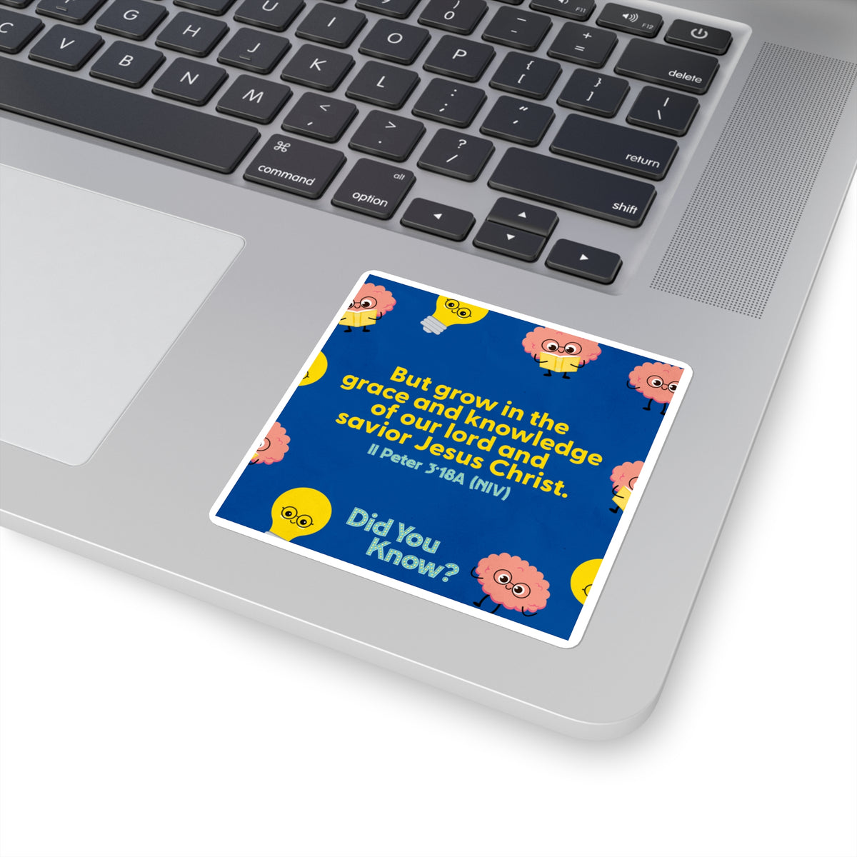 Memory Verse Sticker | V5 | Did You Know? Preschool