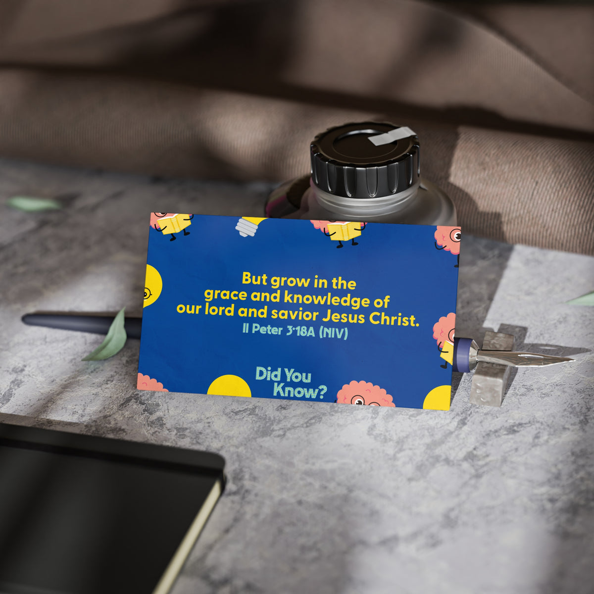 Memory Verse Cards | V5 | Did You Know? Preschool