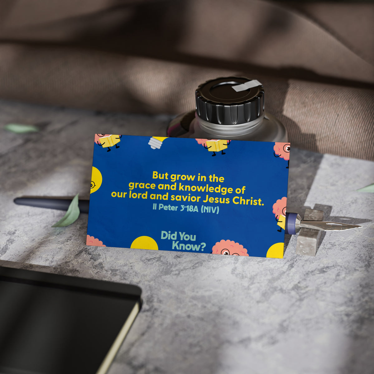 Memory Verse Cards | V5 | Did You Know? Preschool