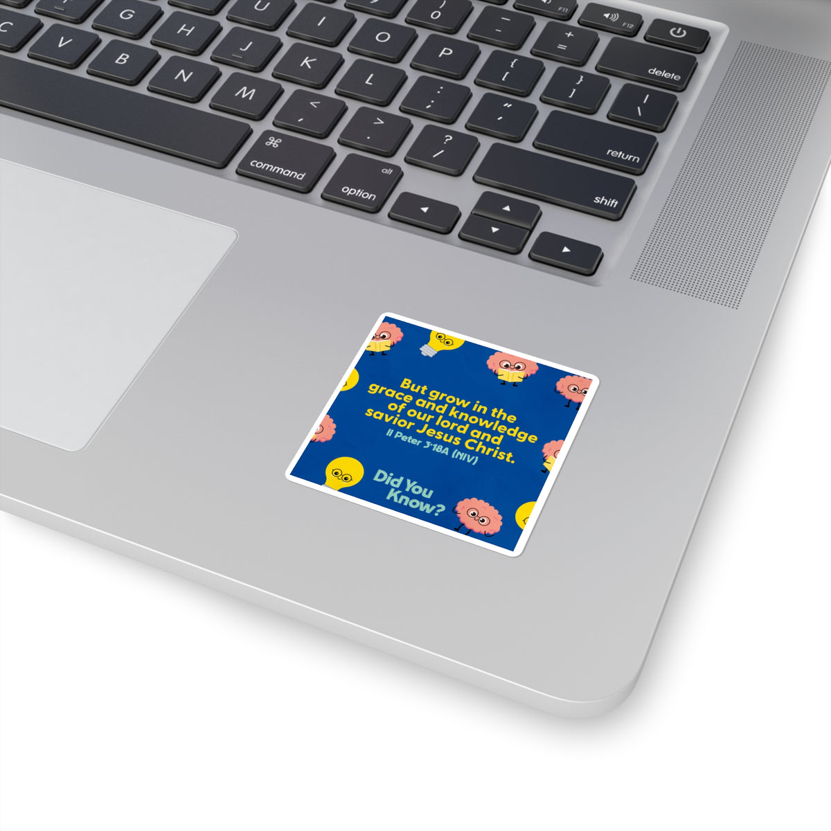 Memory Verse Sticker | V5 | Did You Know? Preschool